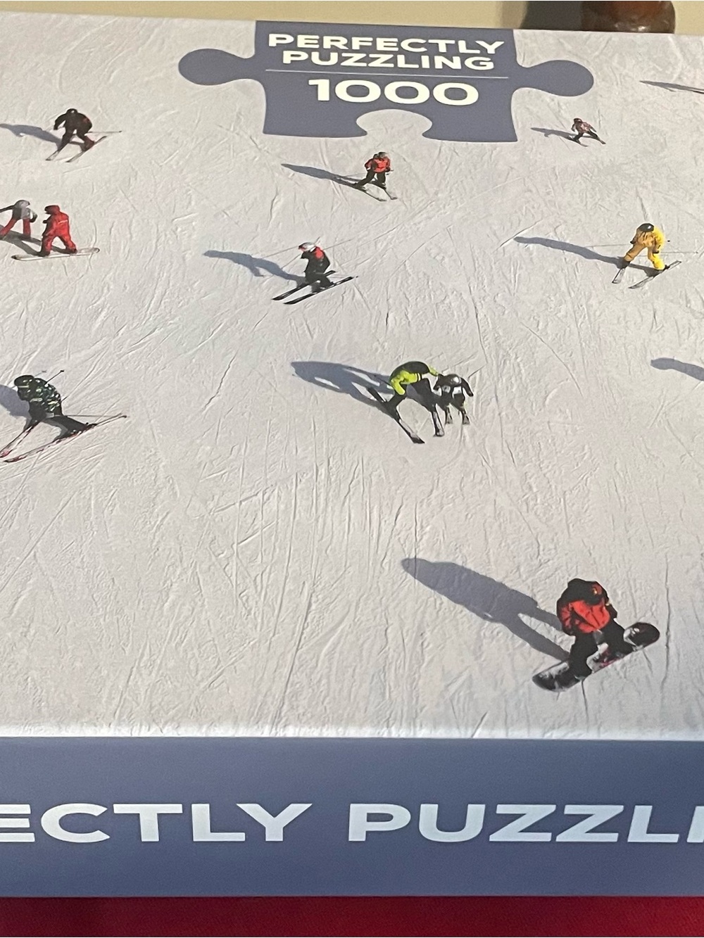 Perfectly Puzzling 1000-Piece Skiers Puzzle in- White